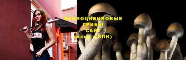 ALPHA-PVP Осинники