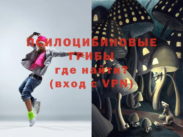 ALPHA-PVP Осинники