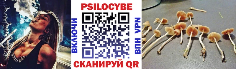 Псилоцибиновые грибы ЛСД  Купить  Полярный 